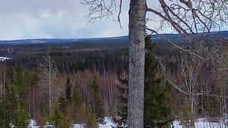 Ikäihmiset - huolen herääminen ja huolen puheeksi ottaminen