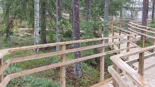 Terveysmetsä esteetön reitti