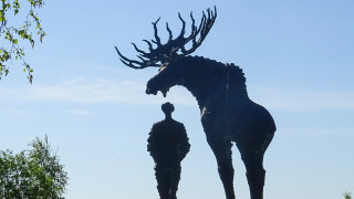Kulttuurihyvinvointi