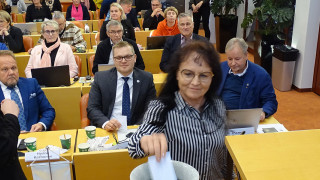 Aluevaltuuston virkavaali
