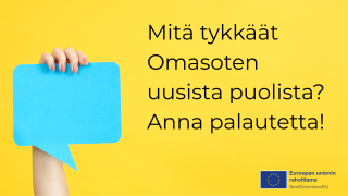 Omasote uudistus kysely Kainuun hyvinvointialue