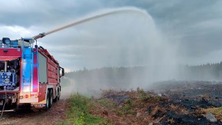 kuvituskuva