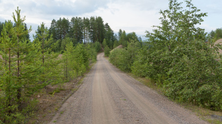 Palvelusetelit kotiin