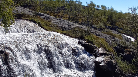 Itsemurhavaarassa olevan tai itsemurhaa yrittäneen työikäisen hoito- ja palvelupolku