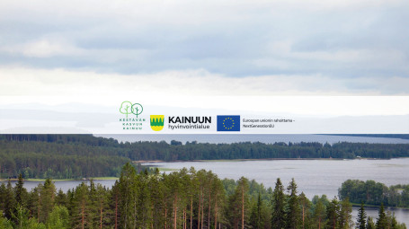 Kestävän kasvun Kainuu II