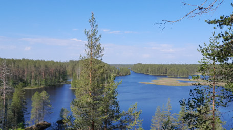 Planetaarinen hyvinvointi. Järvimaisema.