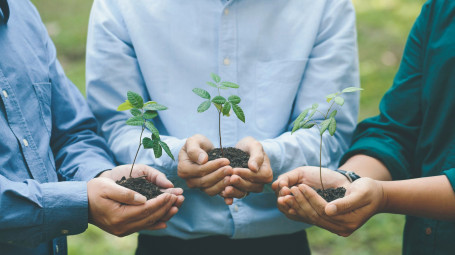 IPS-työhönvalmennus Kainuussa