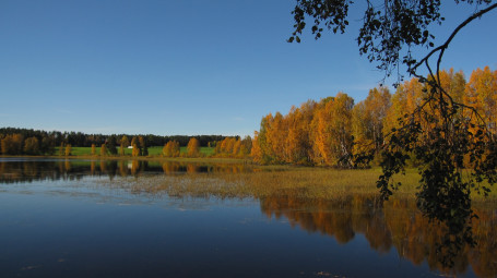 kuvituskuva
