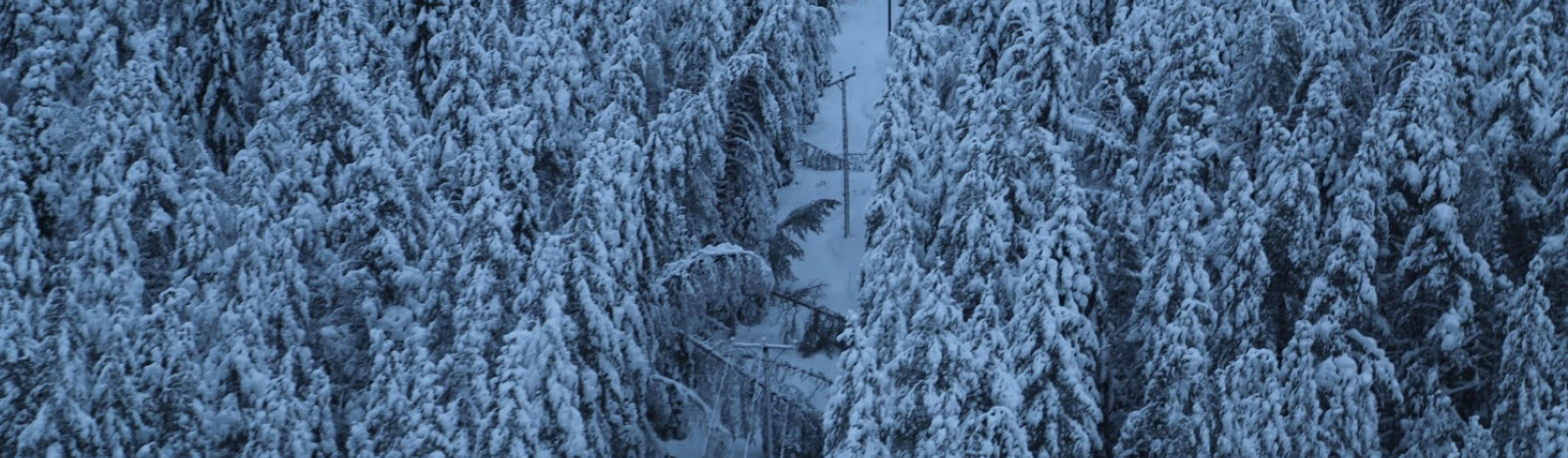 tykkylumi