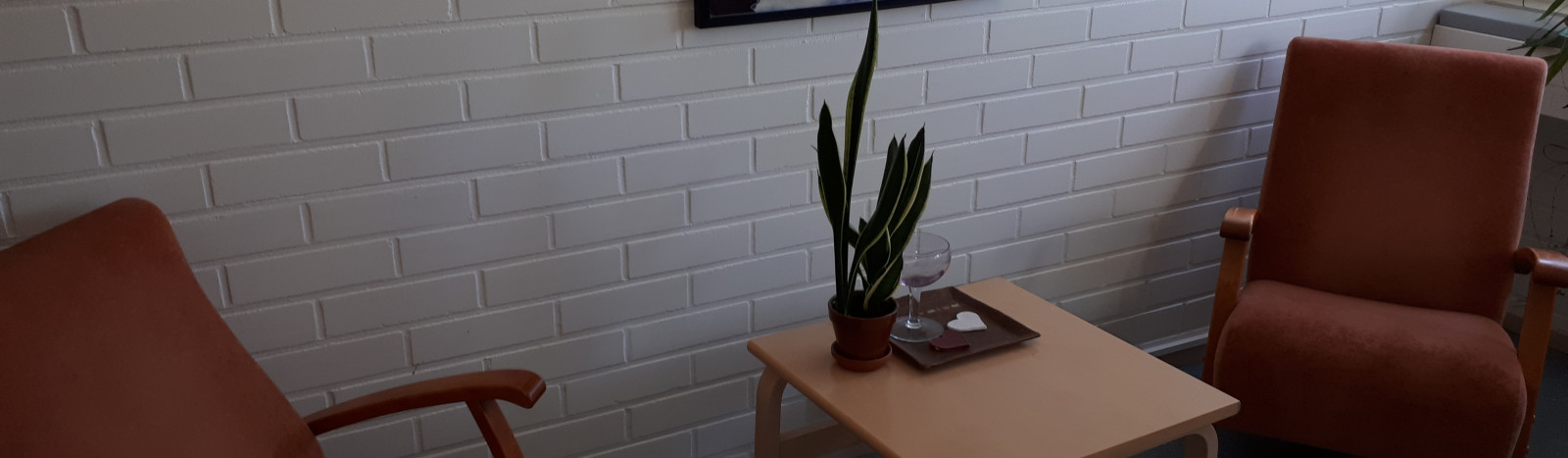 Nuorisopsykiatrian poliklinikka - Yksikön esittely opiskelijoille