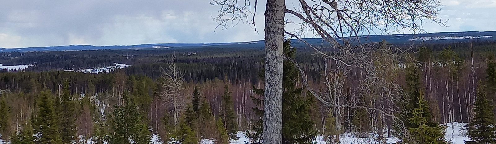 Ikäihmiset - turvasuunnitelma