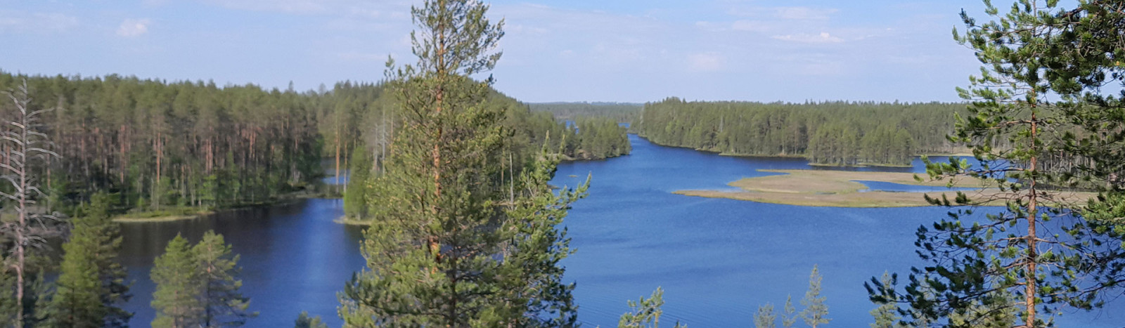 Luontohyvinvointi