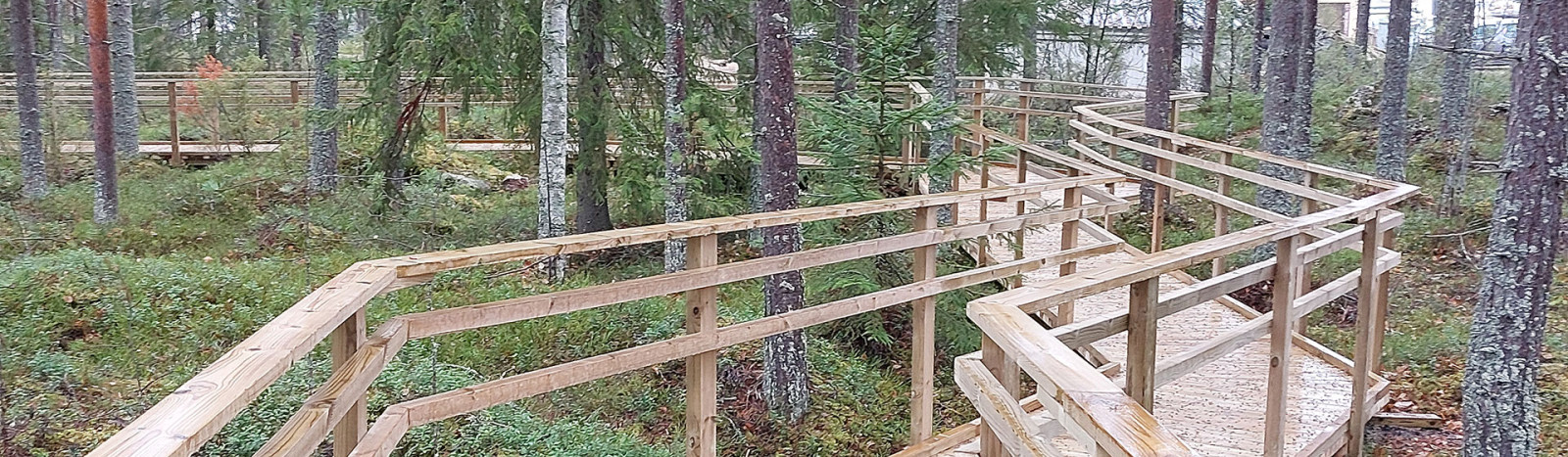 Terveysmetsä esteetön reitti