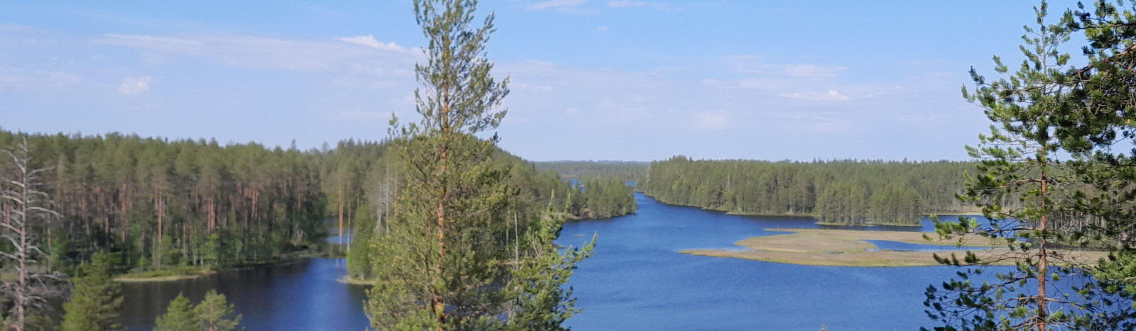 Planetaarinen hyvinvointi. Järvimaisema.