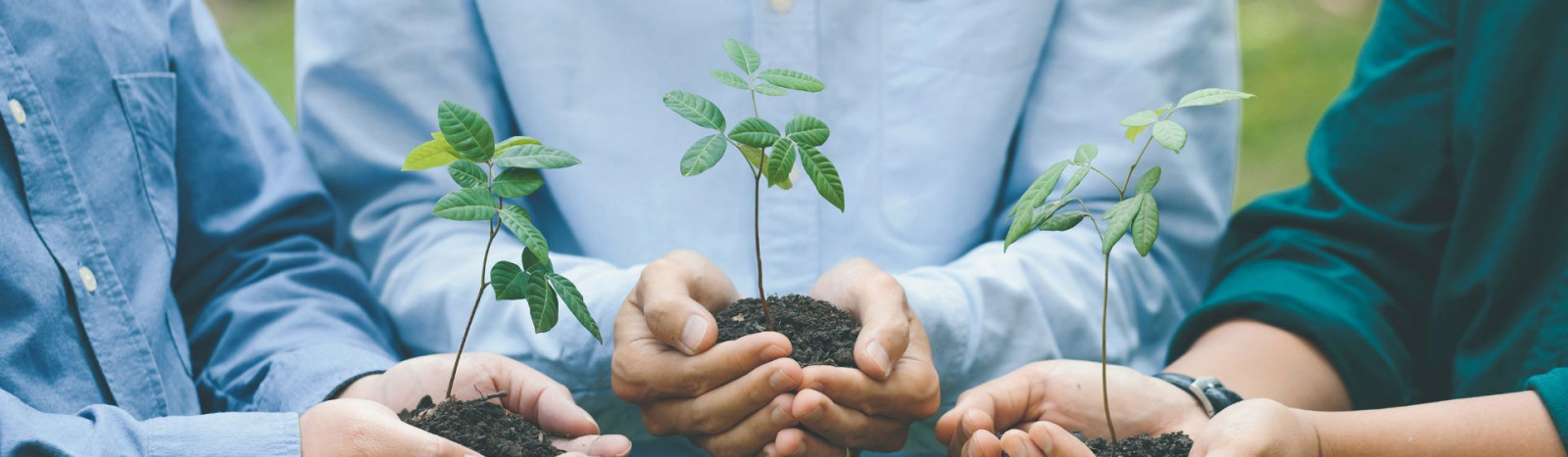 IPS-työhönvalmennus Kainuun hyvinvointialueella