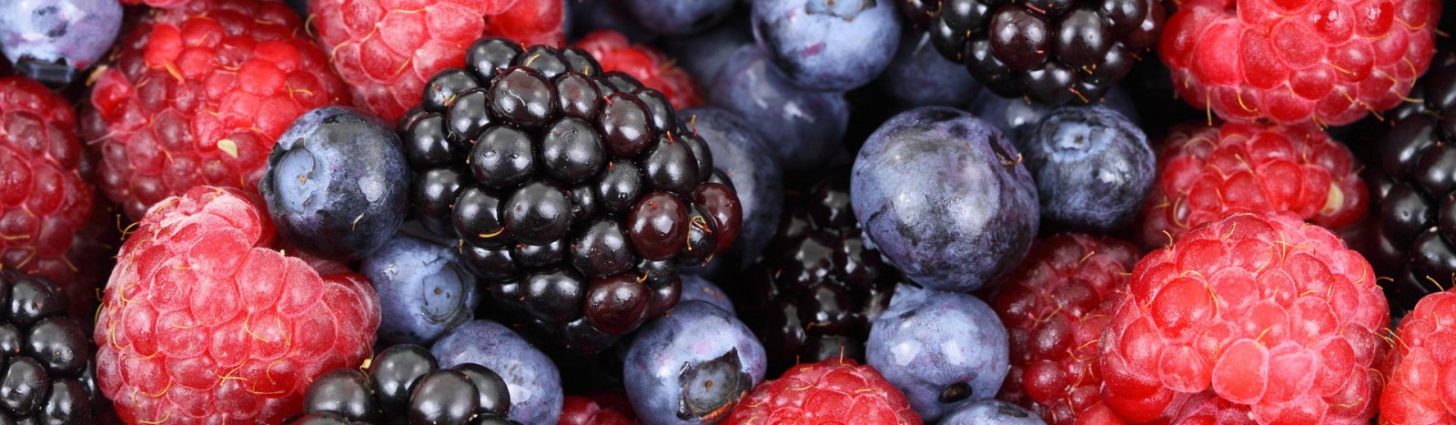 Ravitsemusterveyden edistäminen Kainuun hyvinvointialue