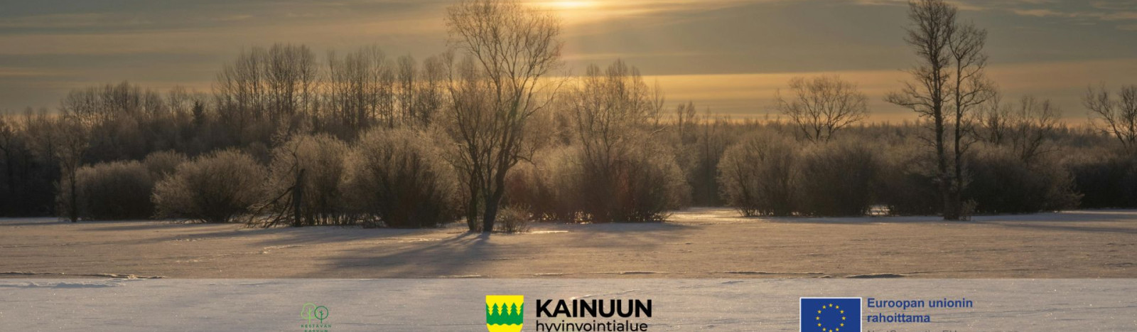 Kestävän kasvun Kainuu II -hanke Kainuun hyvinvointialue